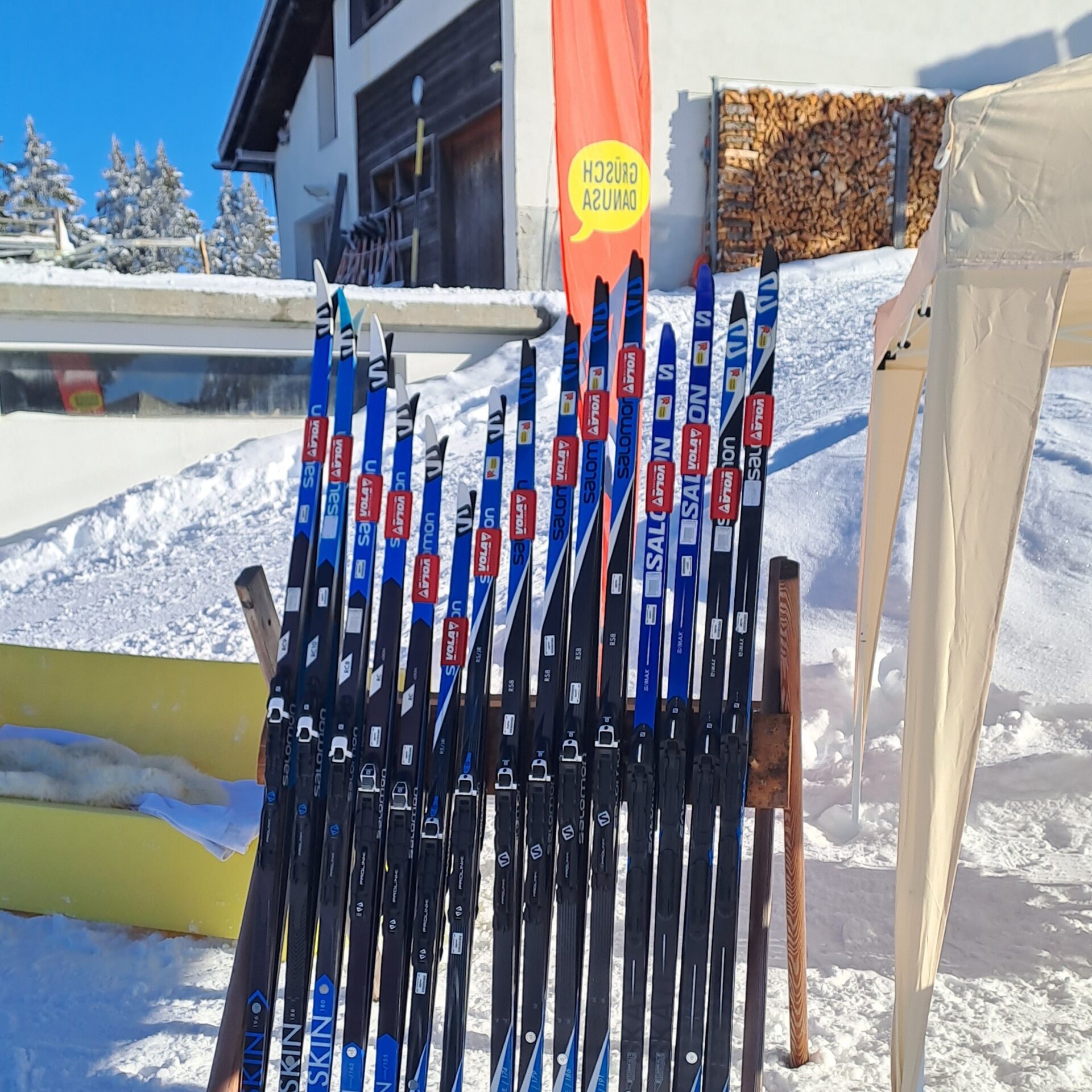 Langlaufski am Skiständer aufgereiht am Skitest