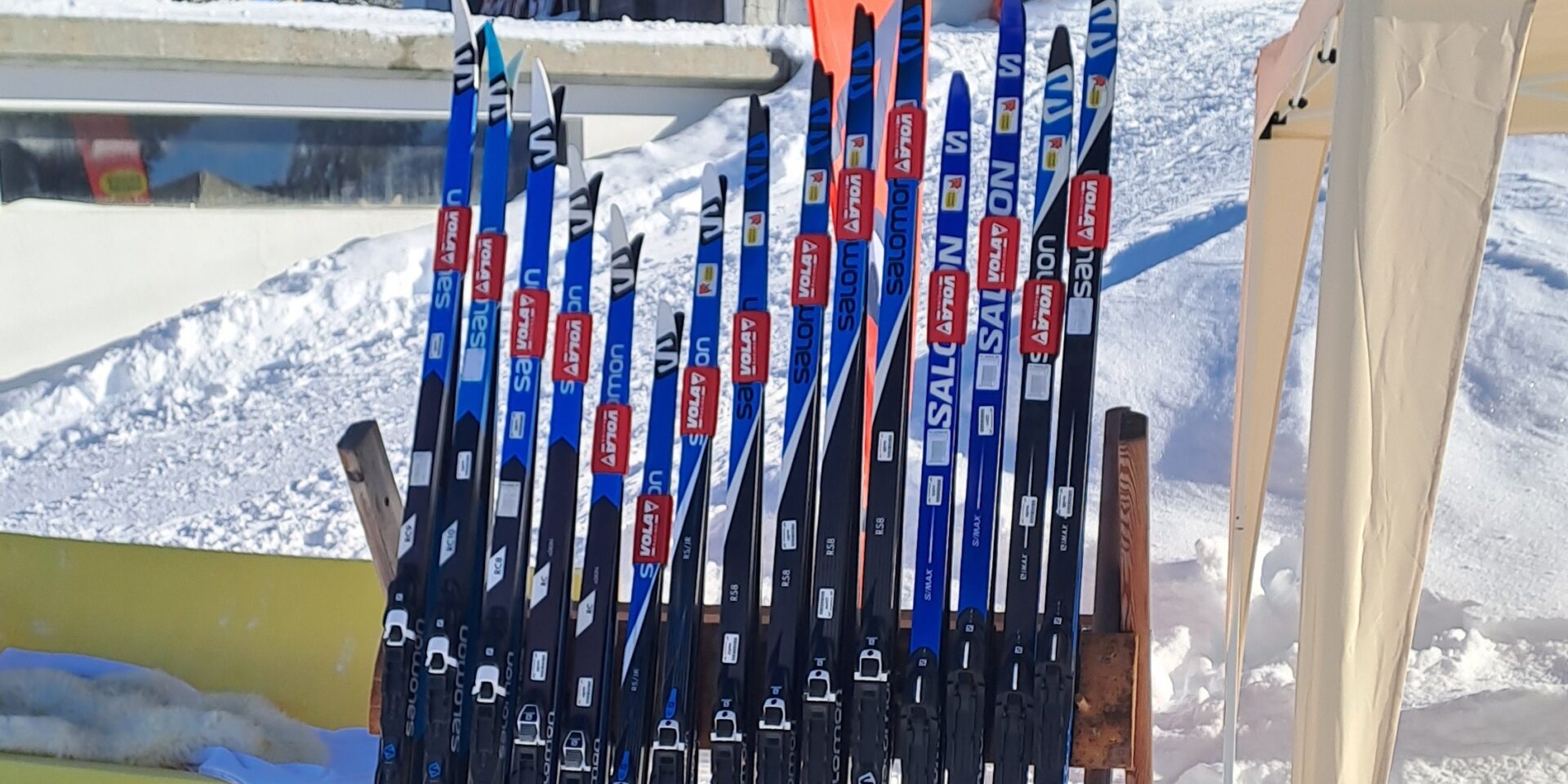 Langlaufski am Skiständer aufgereiht am Skitest