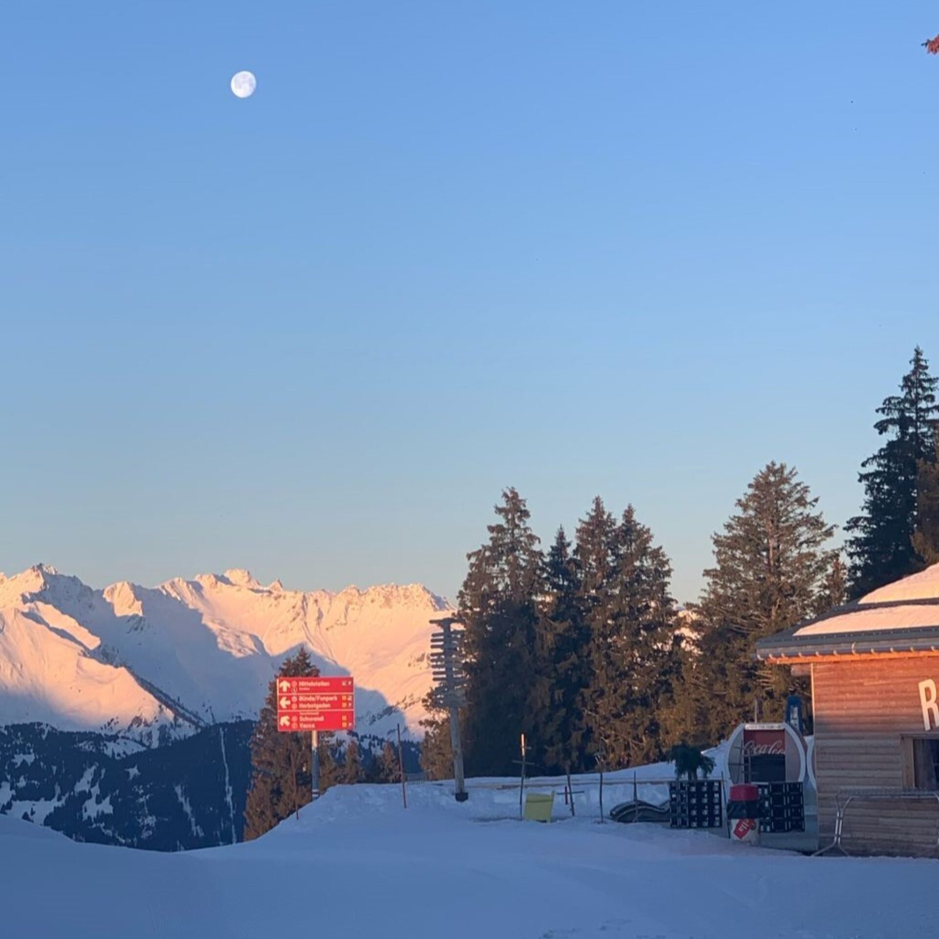 Red Fox von hinten mit leerer Terrasse und Sonnenuntergang und Mond