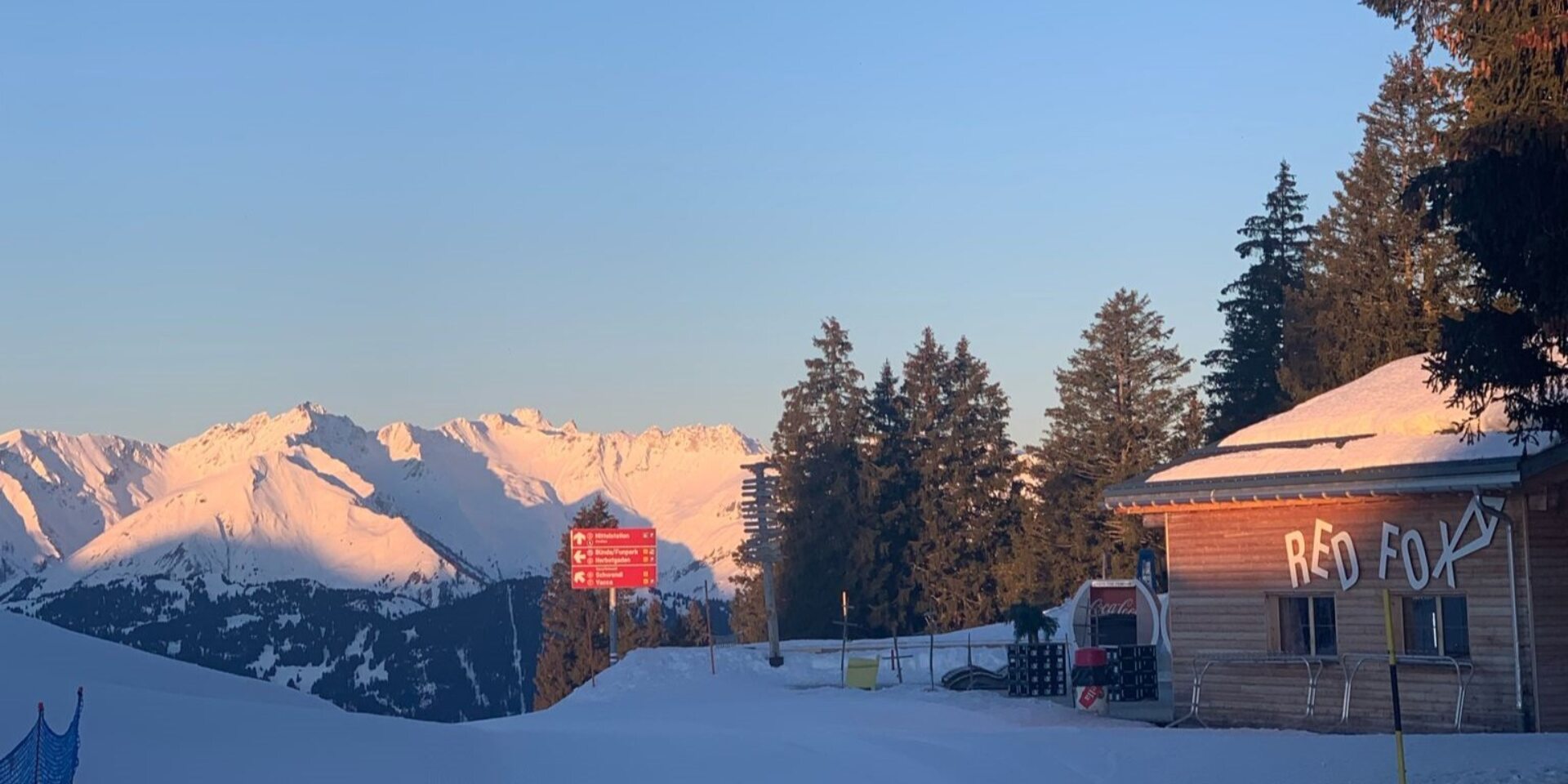 Red Fox von hinten mit leerer Terrasse und Sonnenuntergang und Mond