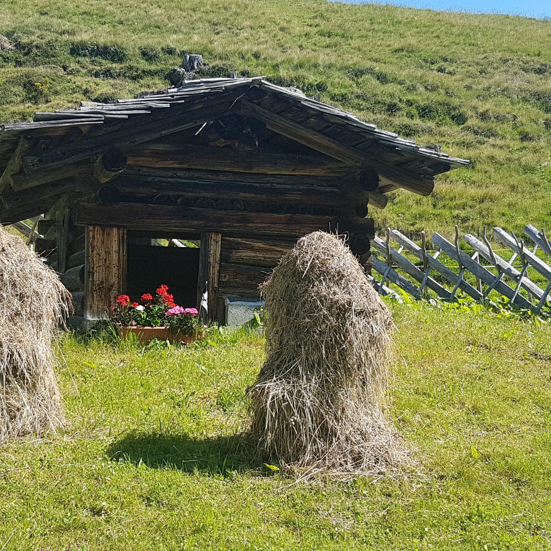 Ein Maiensäss, umgeben von Furner Schrägzaun und zwei Heuhaufen vorne dran