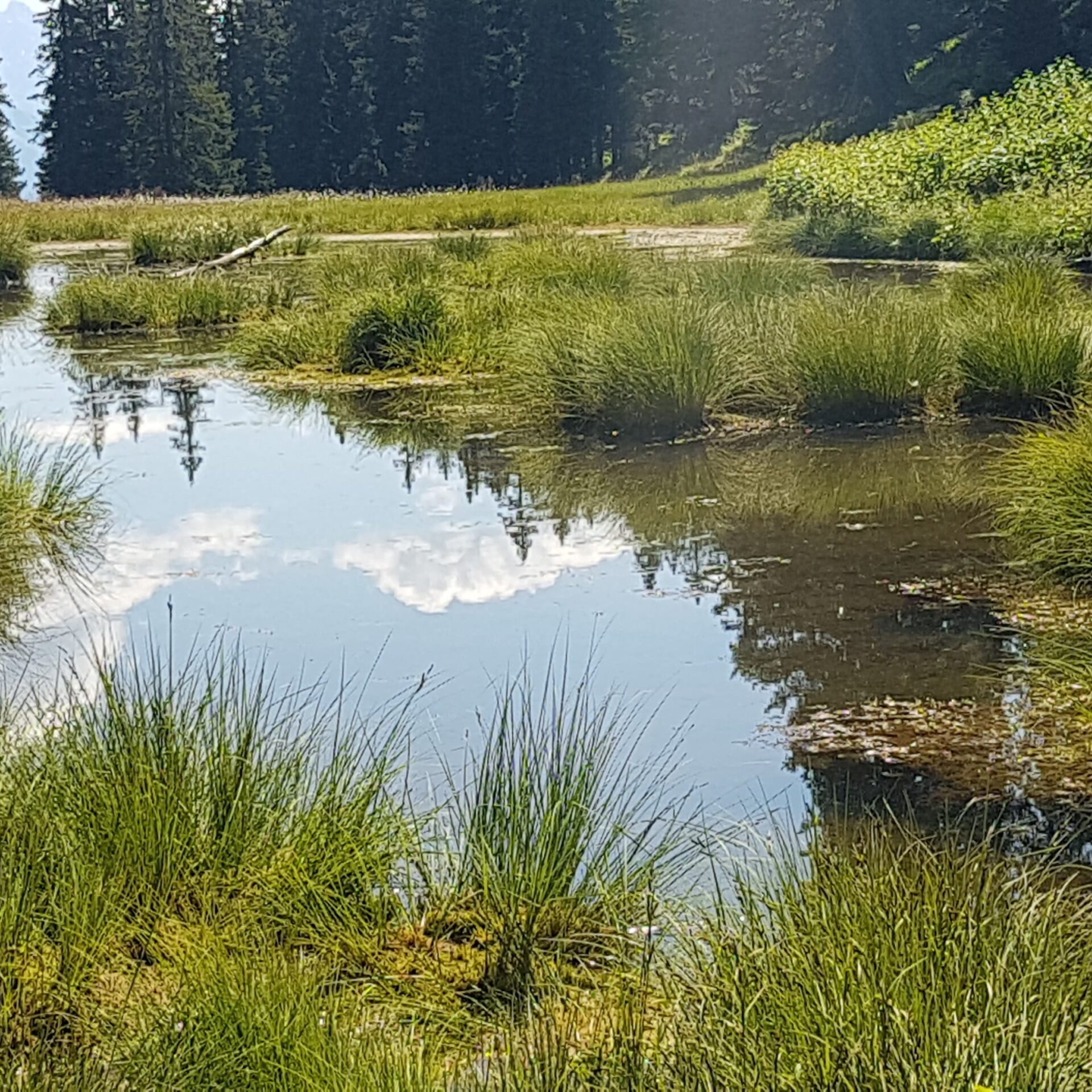 Blick auf einen Bergsee mit Wolken im See gespiegelt