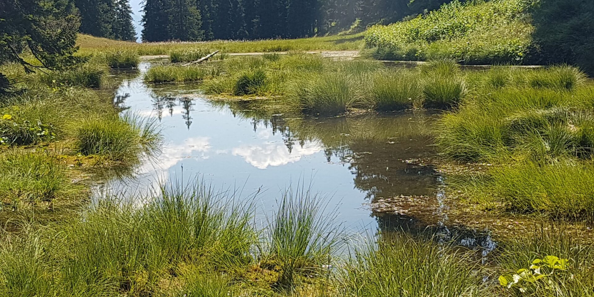 Blick auf einen Bergsee mit Wolken im See gespiegelt