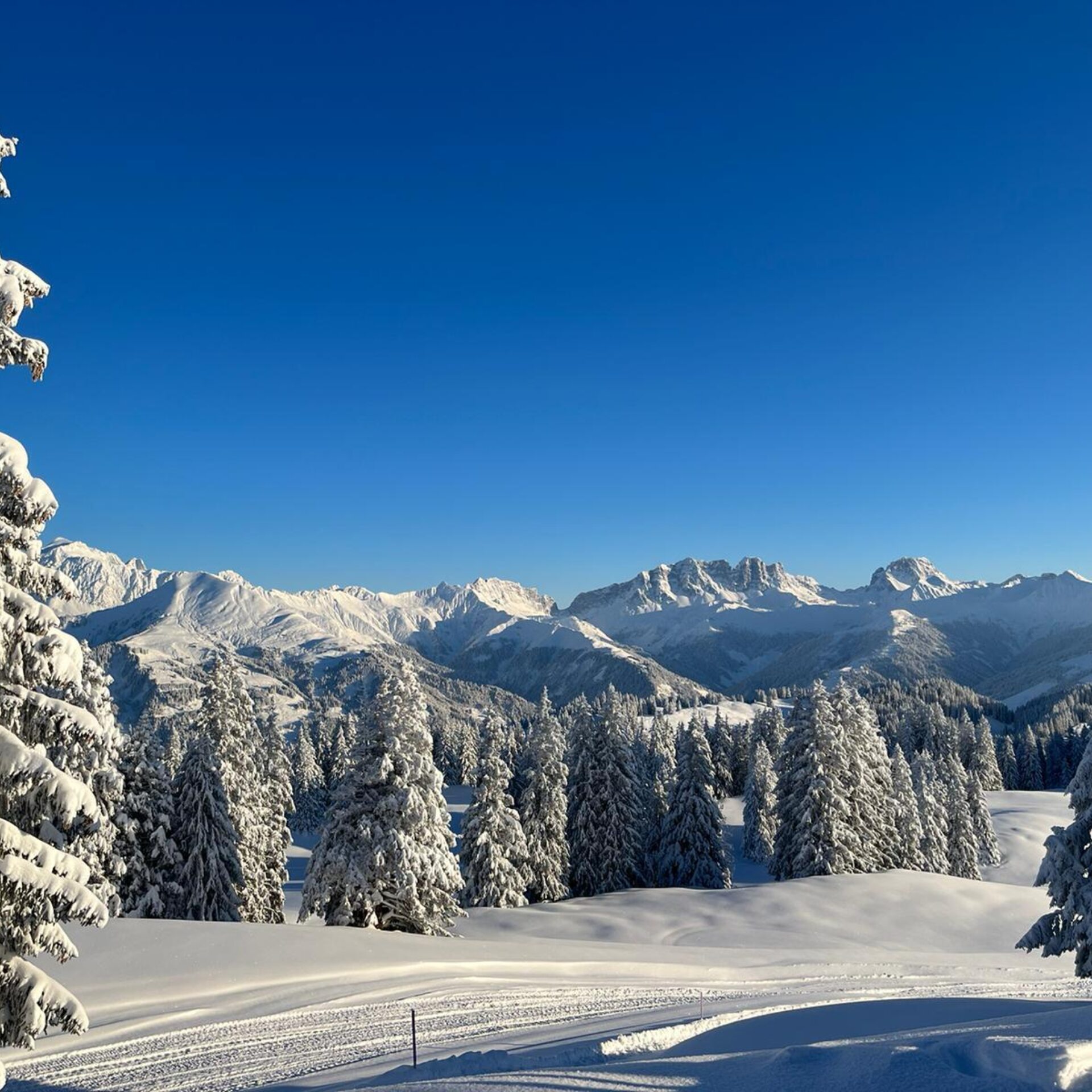 Winterlandschaft auf Grüsch-Danusa