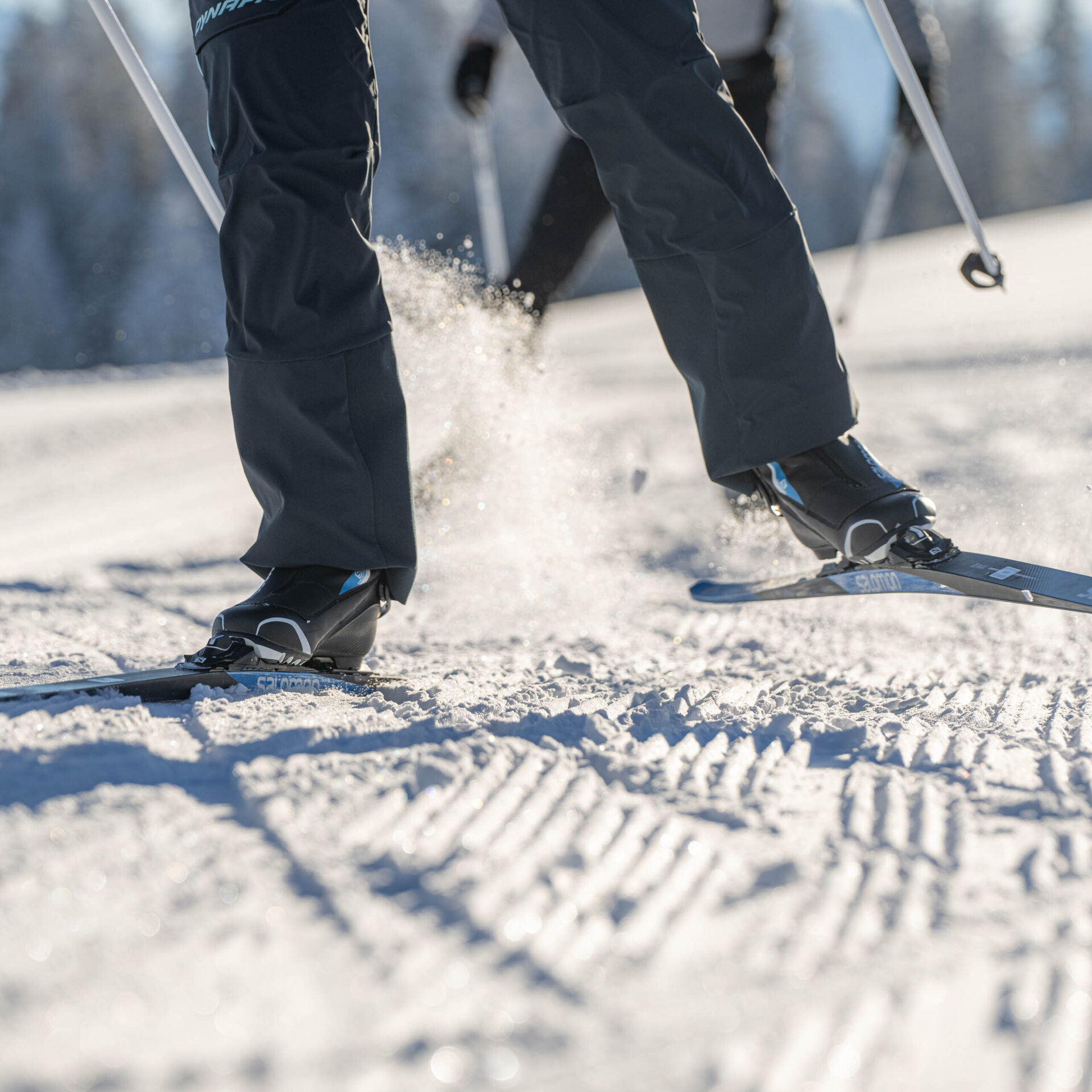 Beine und Ski von zwei Langlaeufern in Bewegung